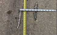 tape measure